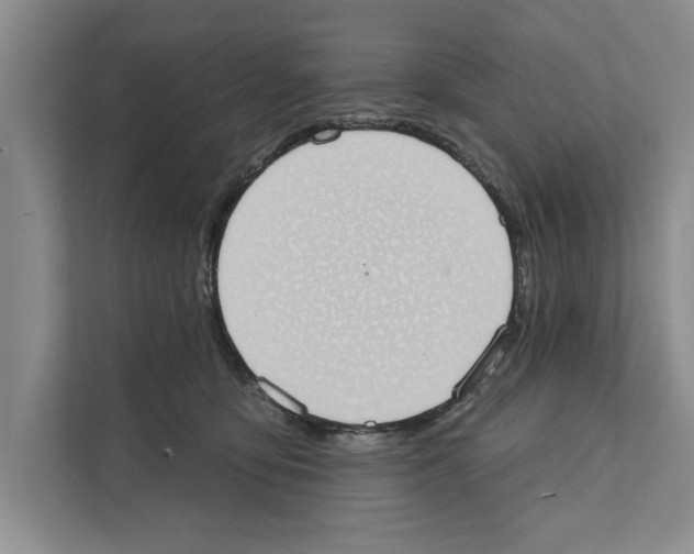 X0000110860419200907161400