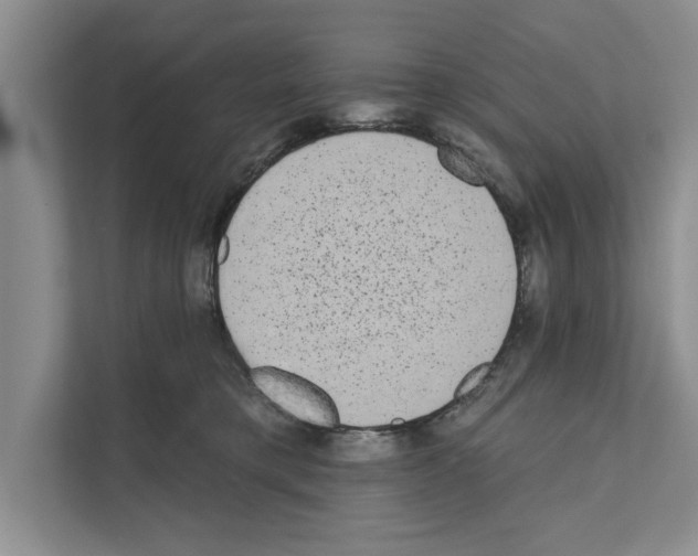 X0000110860421200907161400