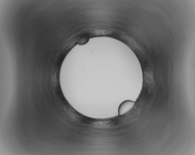 X0000110860422200907161400