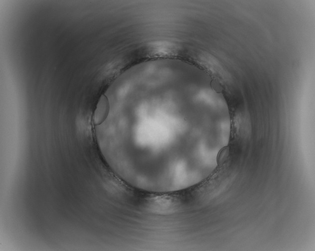 X0000110860423200907161400