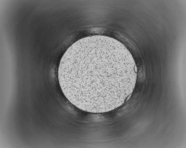 X0000110860424200907161400