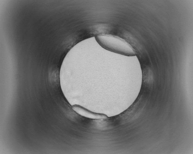 X0000110860425200907161400