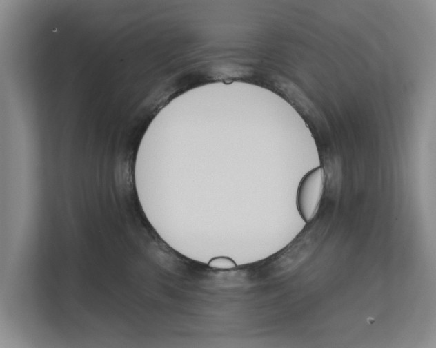 X0000110860426200907161400