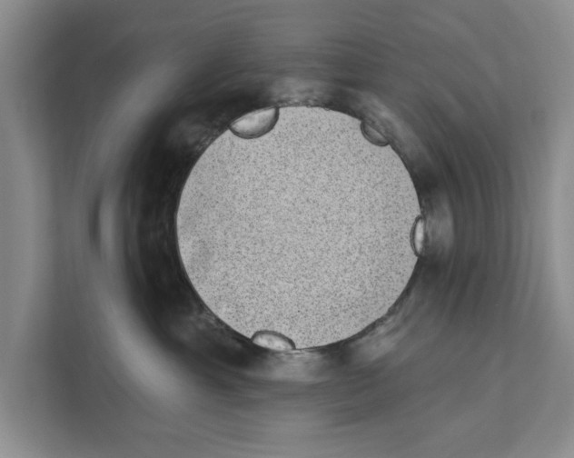 X0000110860429200907161400