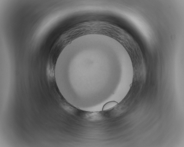 X0000110860431200907161400