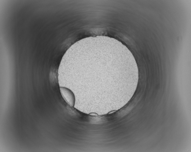 X0000110860432200907161400