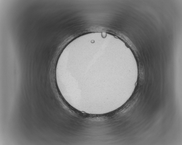 X0000110860433200907161359