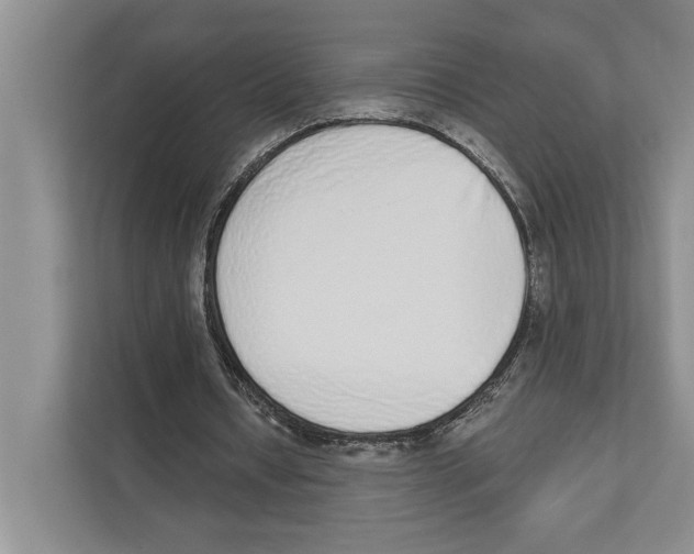 X0000110860434200907161359