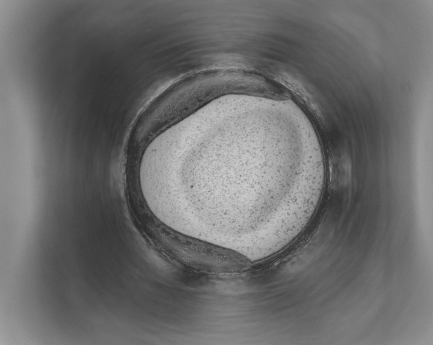 X0000110860436200907161359