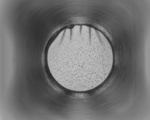 X0000110860439200907161359