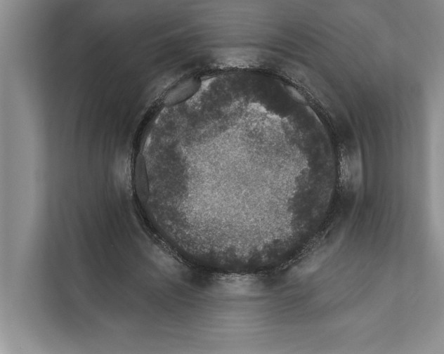 X0000110860444200907161400