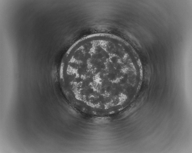 X0000110860465200907161400