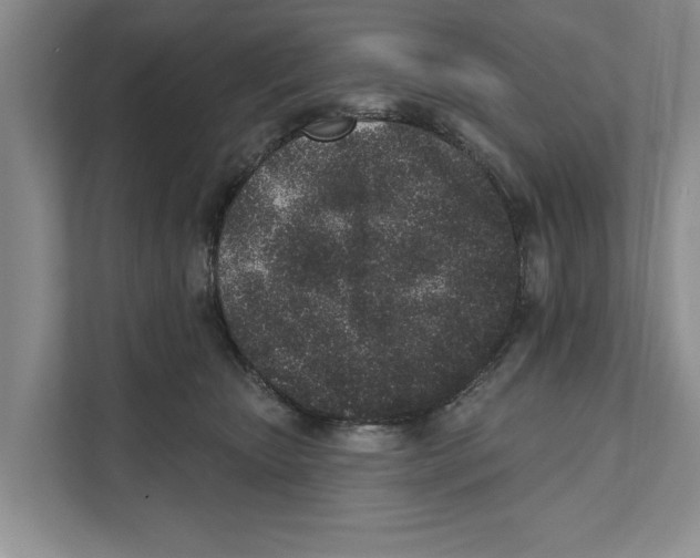 X0000110860467200907161400