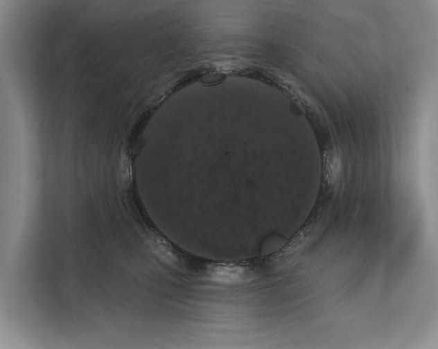 X0000110860471200907161400