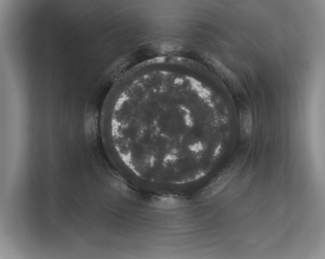 X0000110860475200907161400