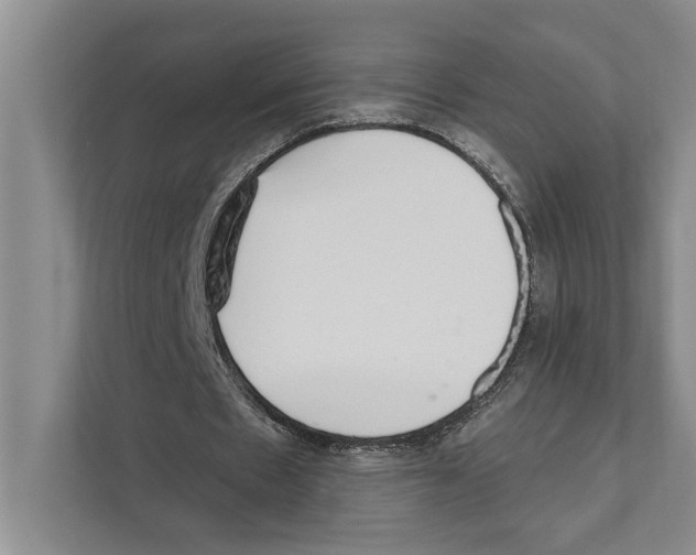 X0000110860481200907161359