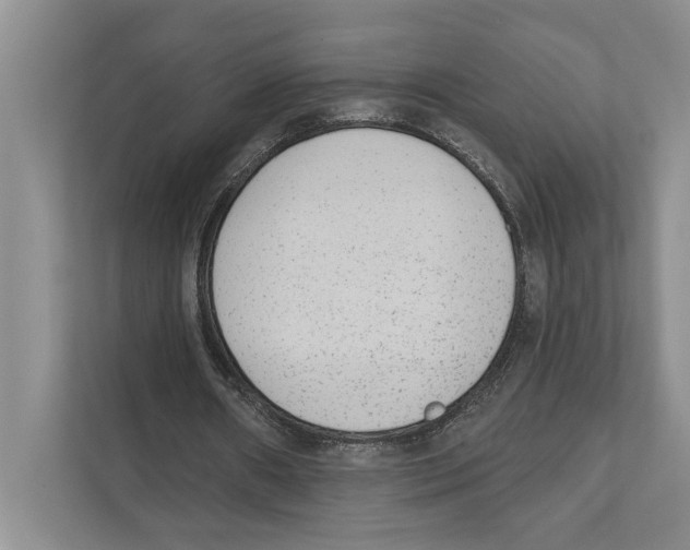 X0000110860482200907161359