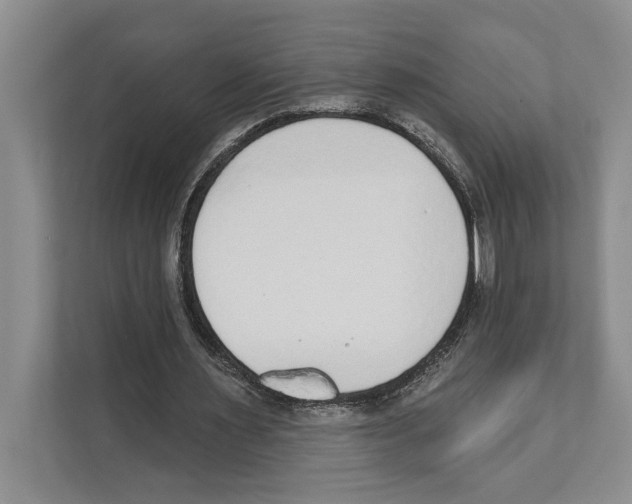 X0000110860483200907161359