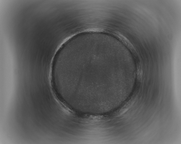 X0000110860484200907161359