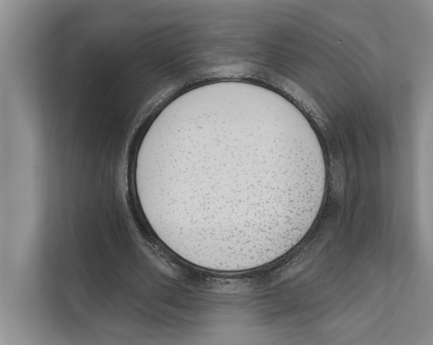 X0000110860486200907161359