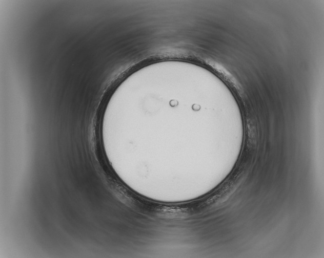 X0000110860487200907161359