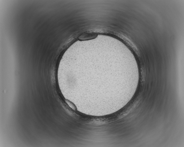 X0000110860489200907161359