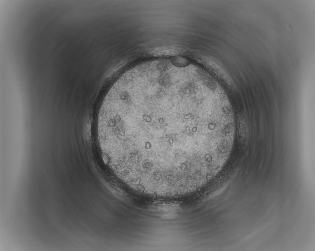 X0000110860491200907161359