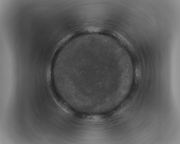 X0000110860492200907161359