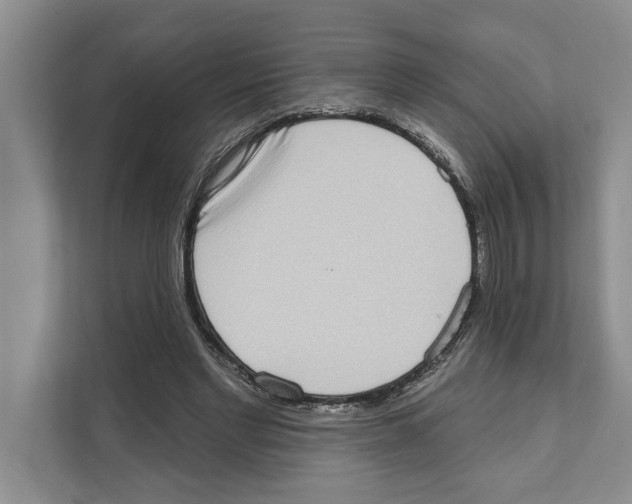 X0000110860493200907161359