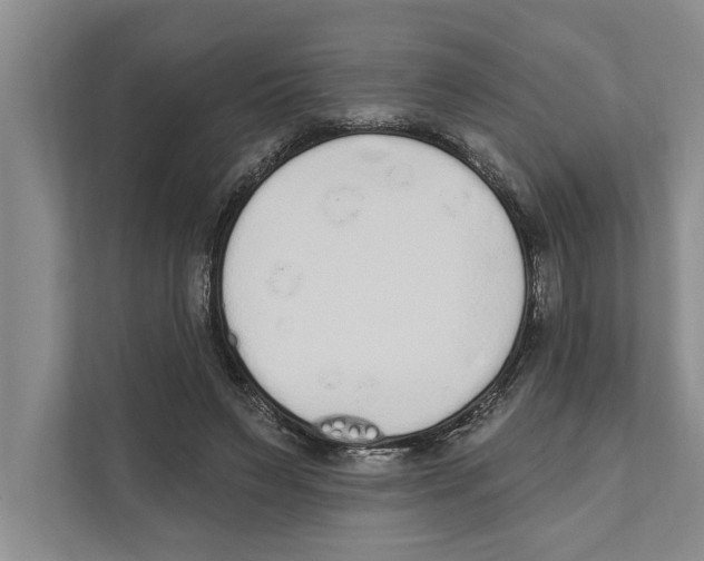 X0000110860495200907161359