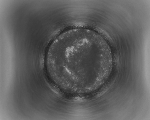 X0000110860496200907161359
