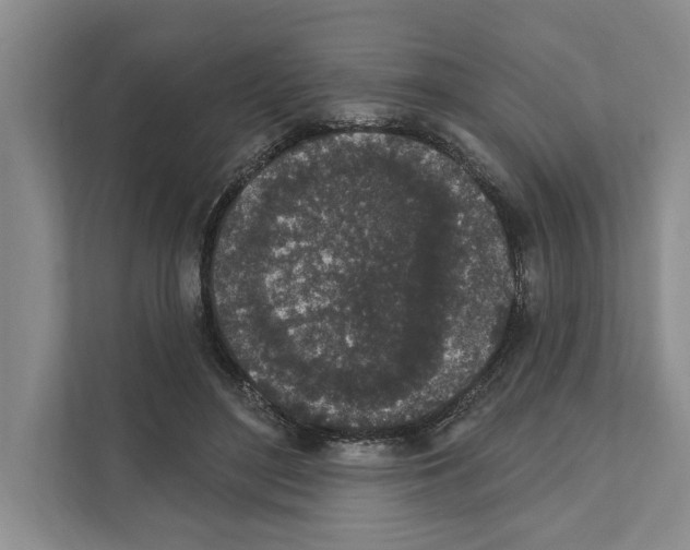 X0000110860500200907161359