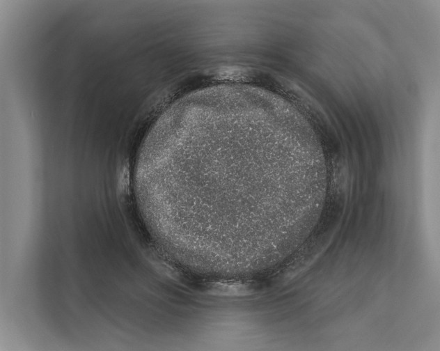 X0000110860502200907161359
