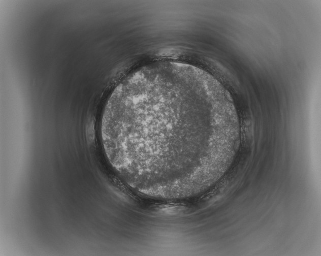 X0000110860504200907161359