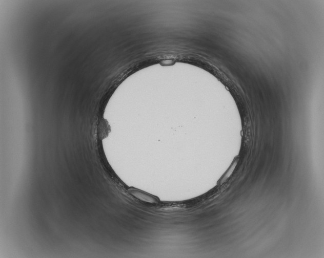 X0000110860505200907161359