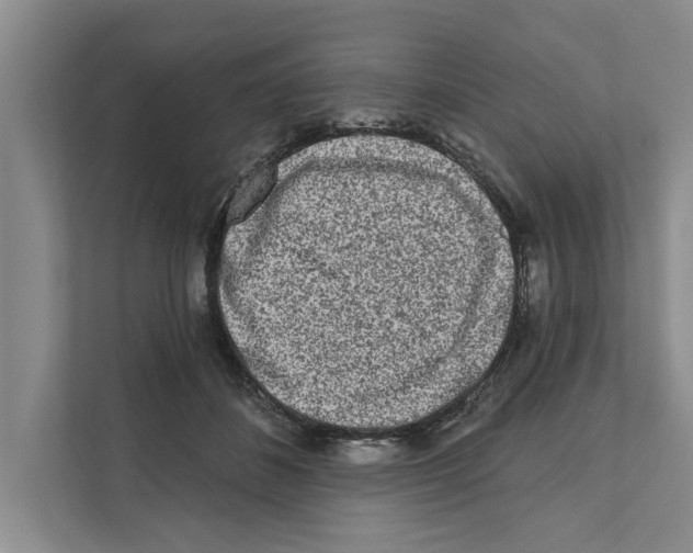 X0000110860508200907161359