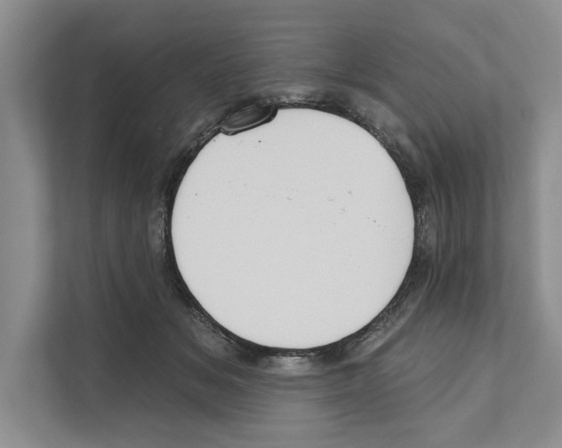 X0000110860509200907161359