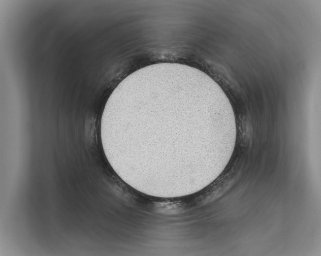 X0000110860511200907161359