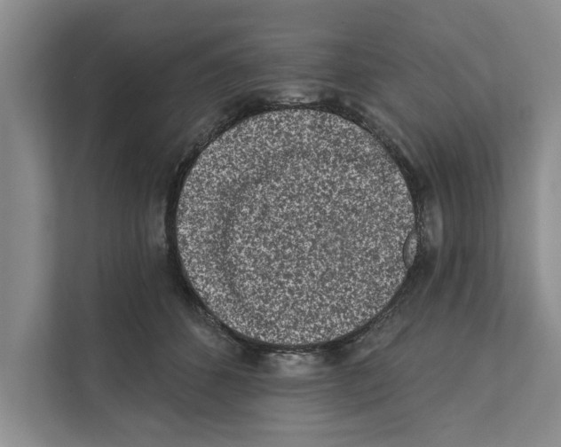 X0000110860512200907161359