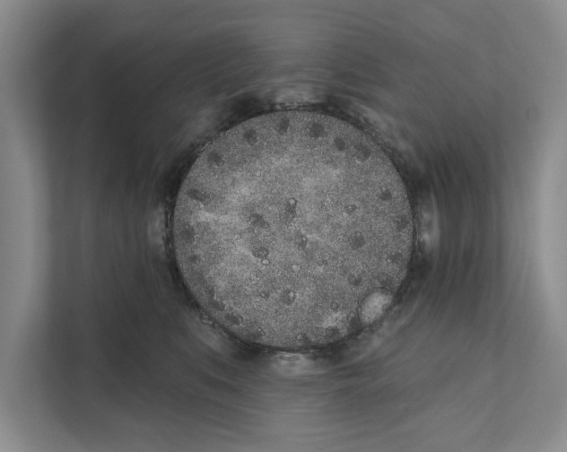 X0000110860519200907161359