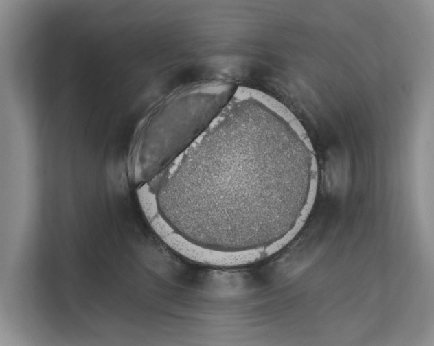 X0000110860520200907161359