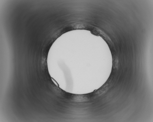 X0000110860521200907161359