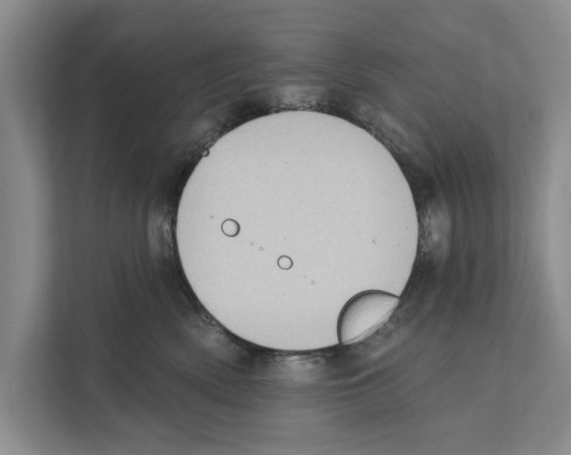 X0000110860522200907161359