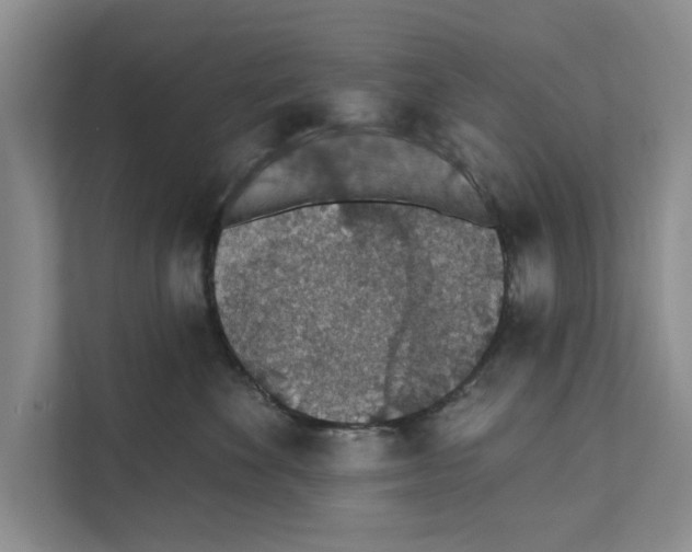X0000110860524200907161359