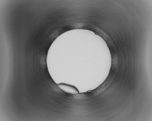 X0000110860525200907161359