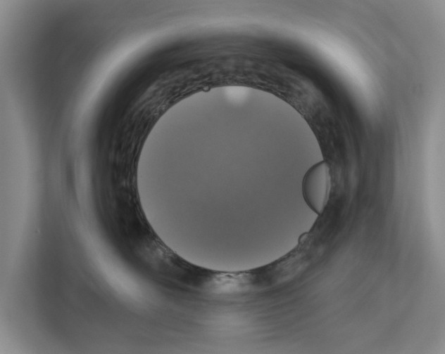 X0000110860526200907161359