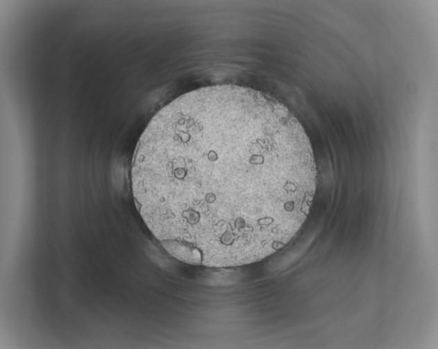 X0000110860527200907161359