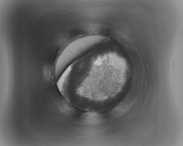 X0000110860528200907161359