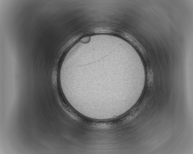 X0000110860533200907161358