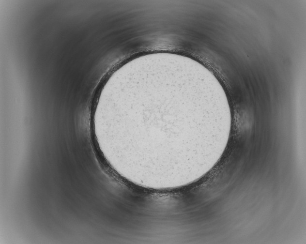 X0000110860534200907161358